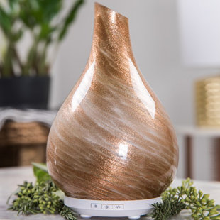 Glass Oil Diffuser | Wayfair